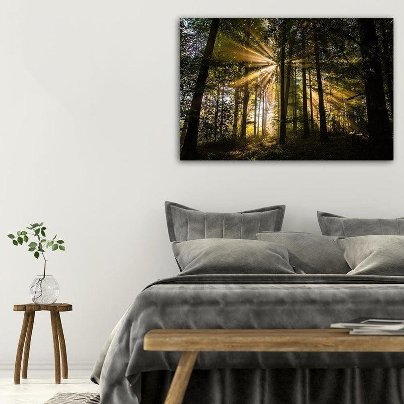 Dekoratīvais panelis - The Rays Of The Sun In A Dark Forest  Home Trends Deco