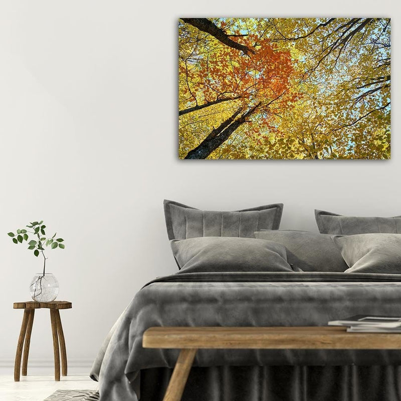 Dekoratīvais panelis - The Tops Of The Trees In Autumn  Home Trends Deco