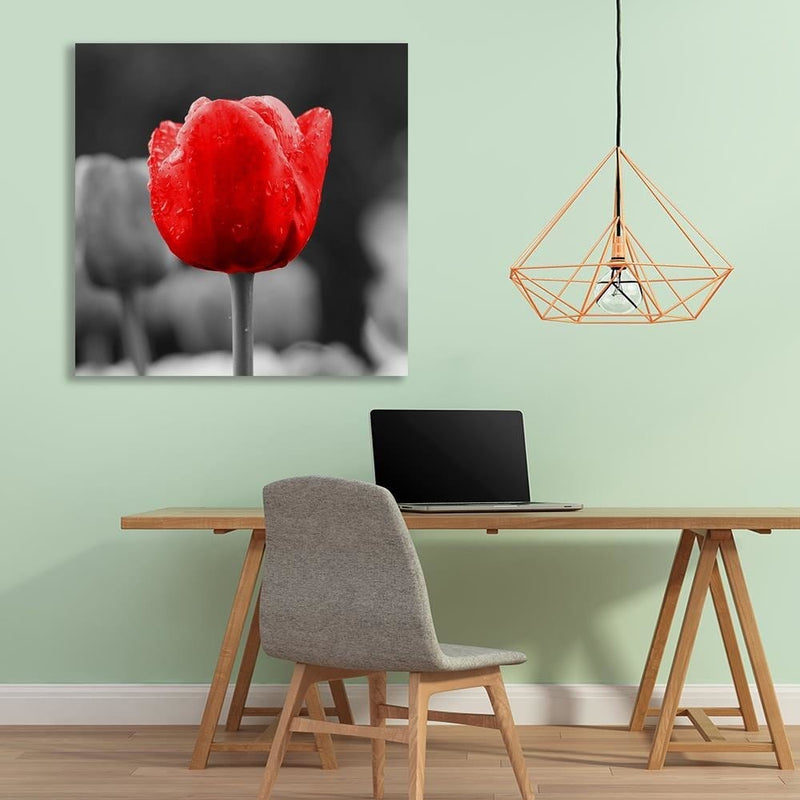 Dekoratīvais panelis - Tulip In Red  Home Trends Deco