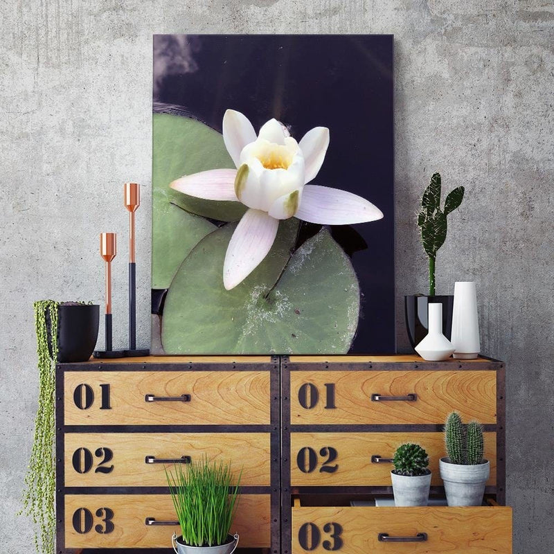 Dekoratīvais panelis - Water Lily Flower  Home Trends Deco