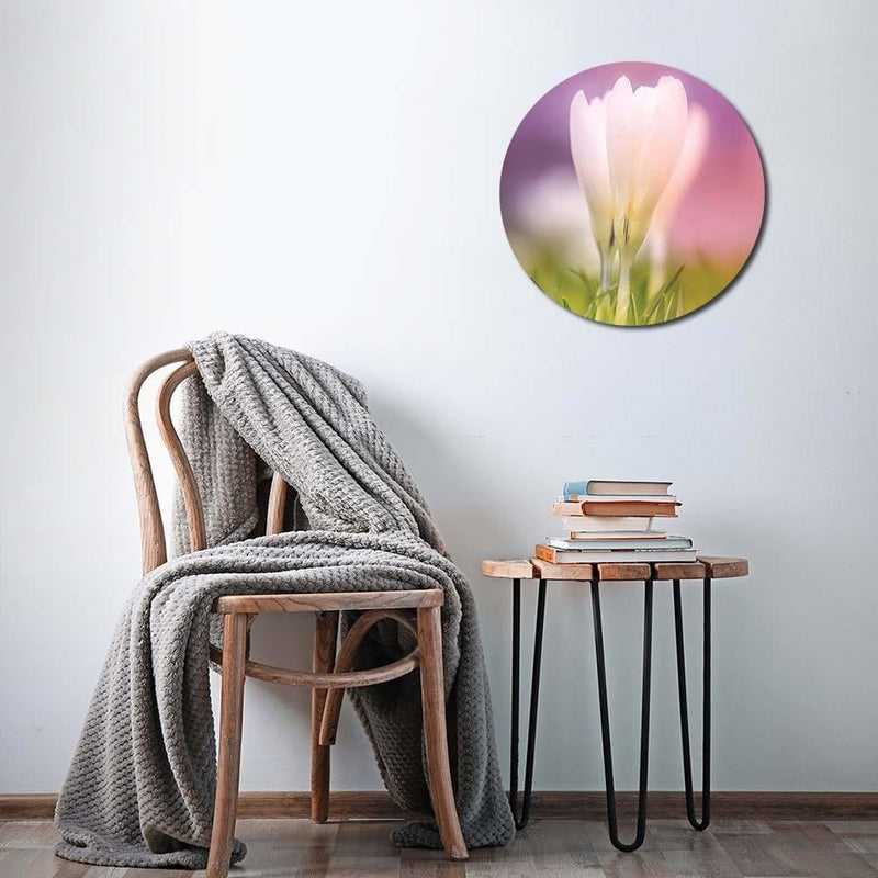 Dekoratīvais panelis - White crocus   Home Trends Deco