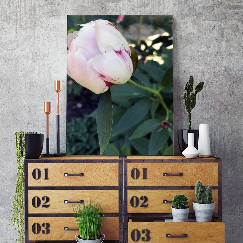 Dekoratīvais panelis - White Peony  Home Trends Deco