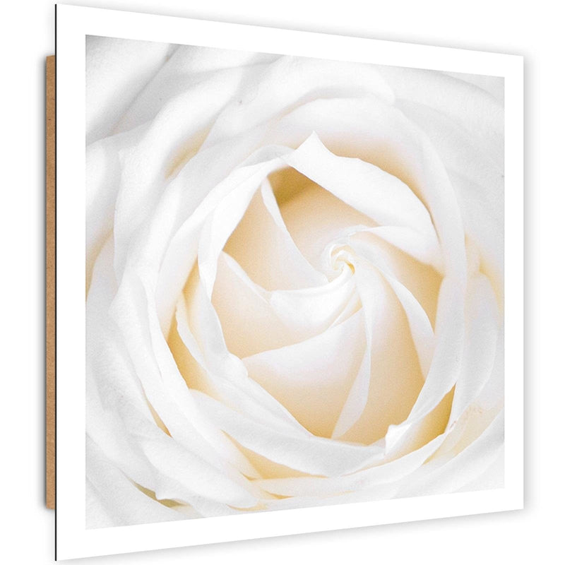 Dekoratīvais panelis - White Rose 2  Home Trends Deco