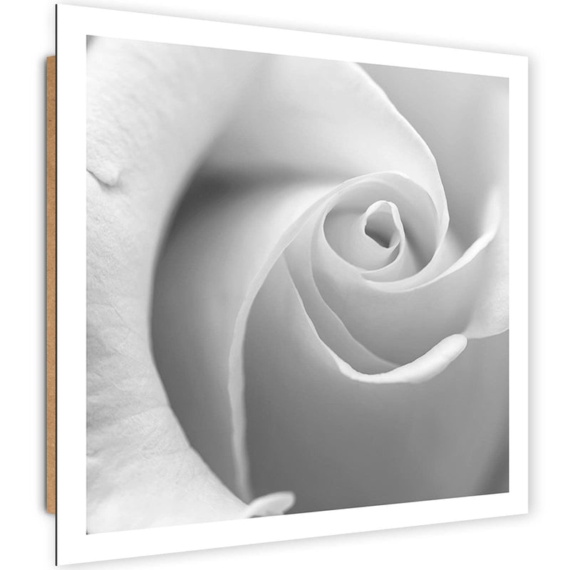 Dekoratīvais panelis - White Rose 3  Home Trends Deco