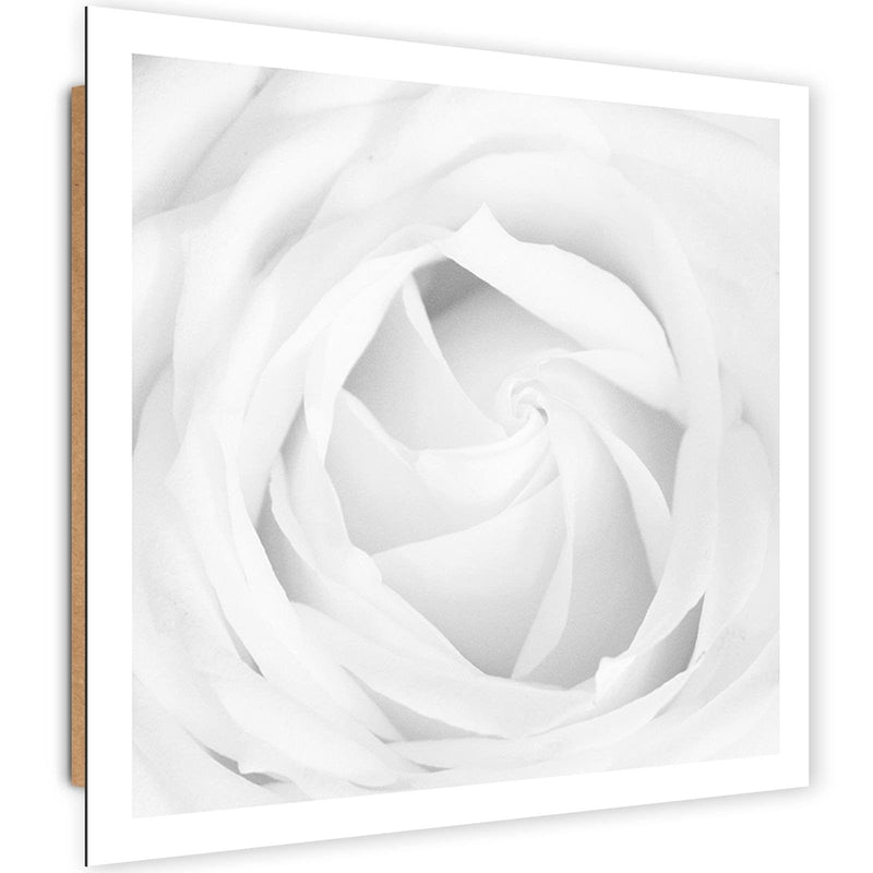 Dekoratīvais panelis - White Rose 4  Home Trends Deco