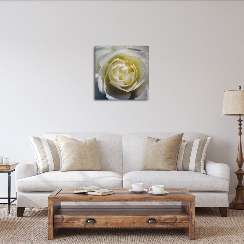 Dekoratīvais panelis - White rose petals   30x30 Home Trends Deco