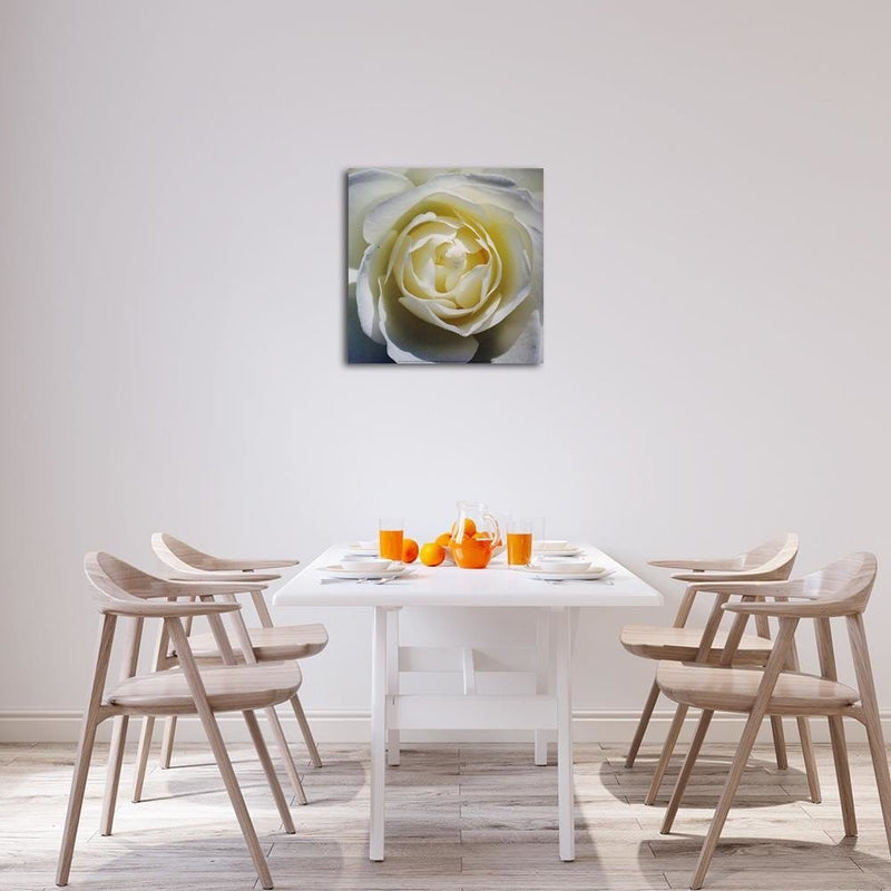 Dekoratīvais panelis - White rose petals   30x30 Home Trends Deco