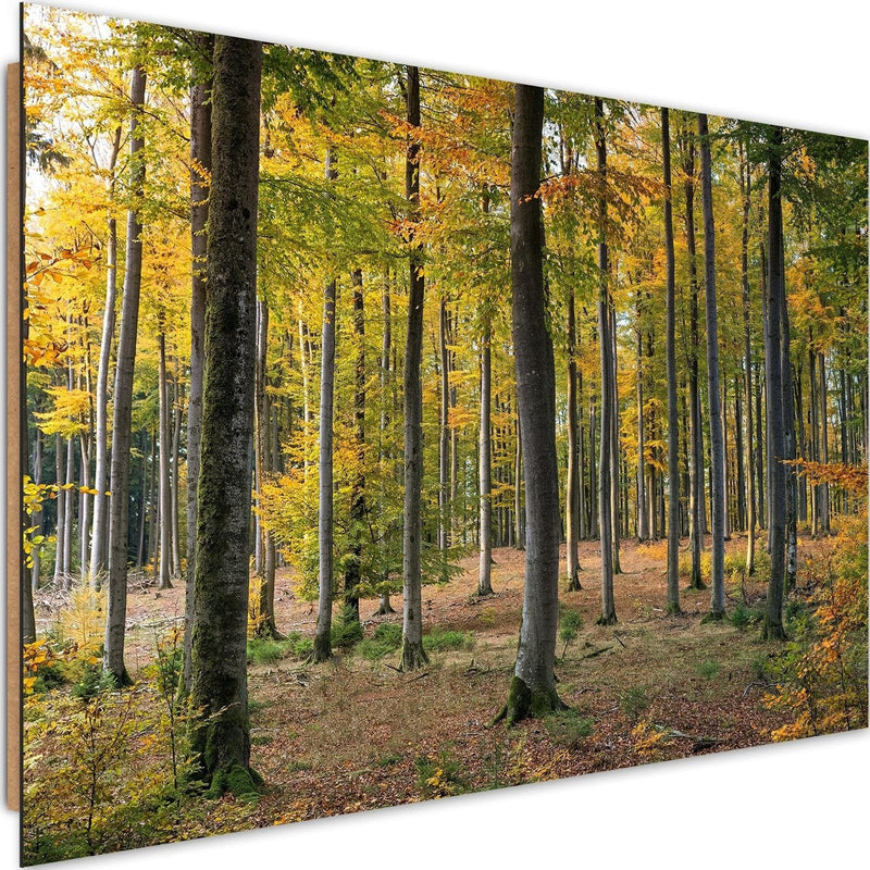 Dekoratīvais panelis - Yellow Autumn Forest  Home Trends Deco