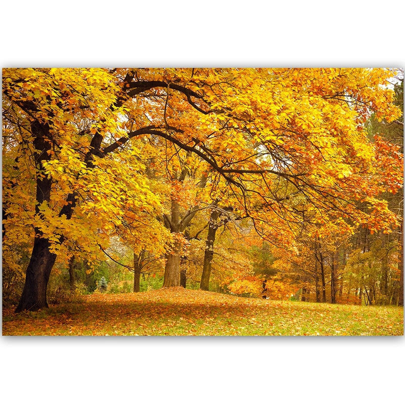 Dekoratīvais panelis - Yellow Autumn Trees  Home Trends Deco