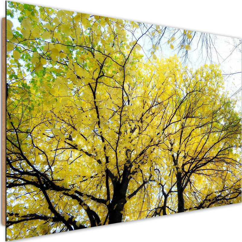 Dekoratīvais panelis - Yellow Leaves On A Tree  Home Trends Deco