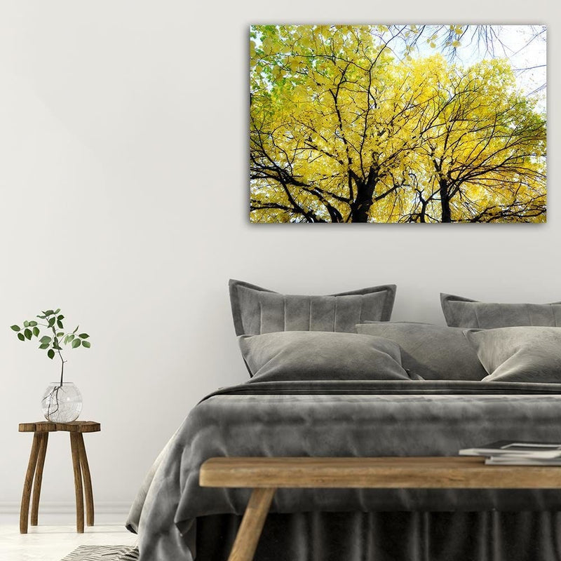 Dekoratīvais panelis - Yellow Leaves On A Tree  Home Trends Deco