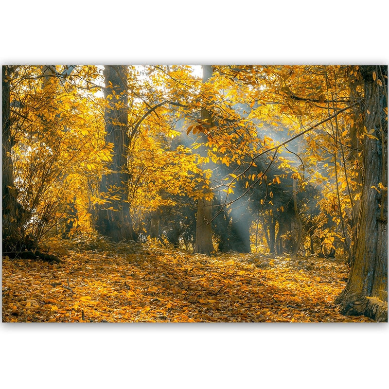 Dekoratīvais panelis - Yellow Trees In The Park  Home Trends Deco