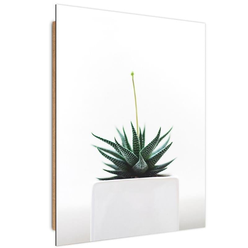 Dekoratīvais panelis - Young Plant  Home Trends Deco