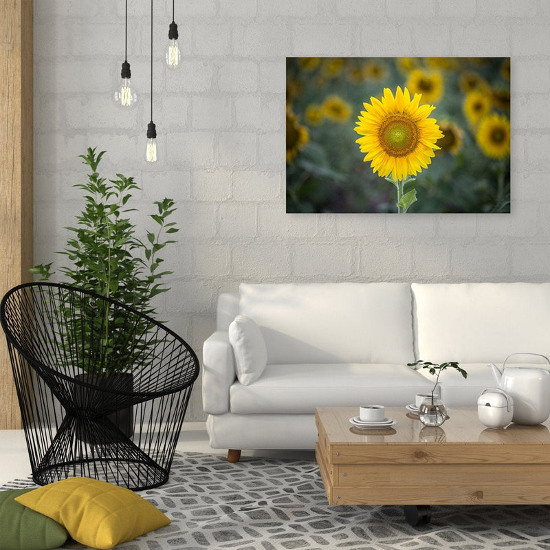 Dekoratīvais panelis - Young Sunflower  Home Trends Deco