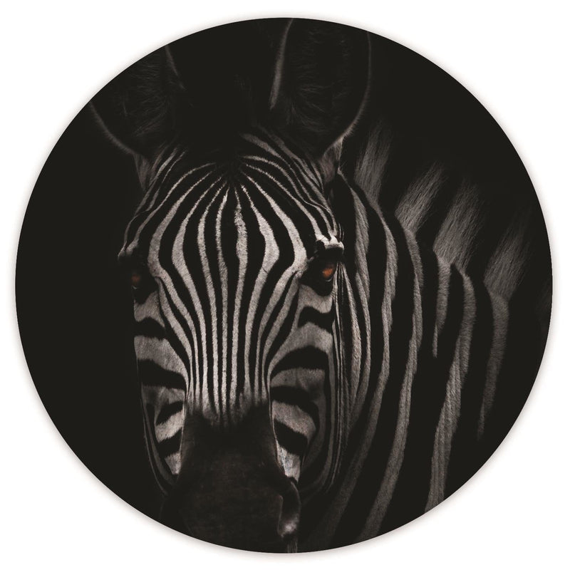 Dekoratīvais panelis - zebra eyes   Home Trends Deco