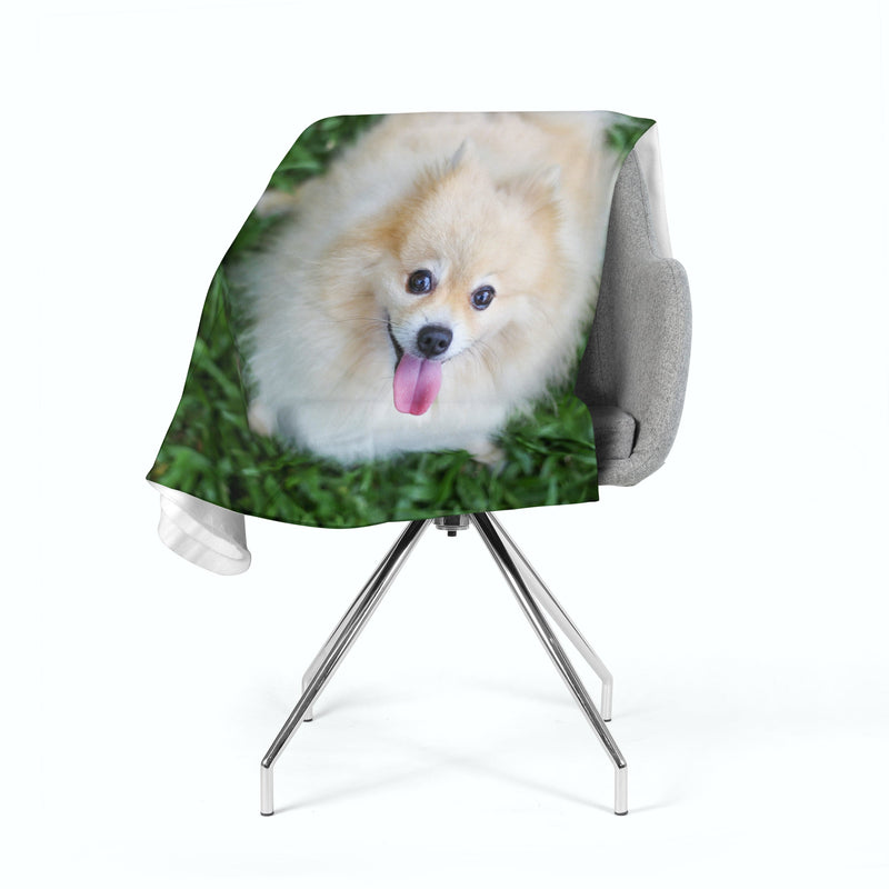 Flīsa pleds Happy Pomeranian Dog E-interjers.lv