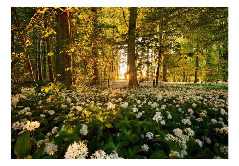 Fototapetes ar mežu - Meža flora E-interjers.lv