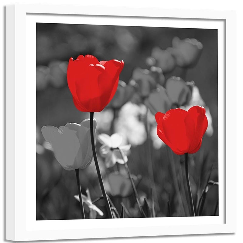 Glezna baltā rāmī - Red Tulips In Gray  Home Trends DECO