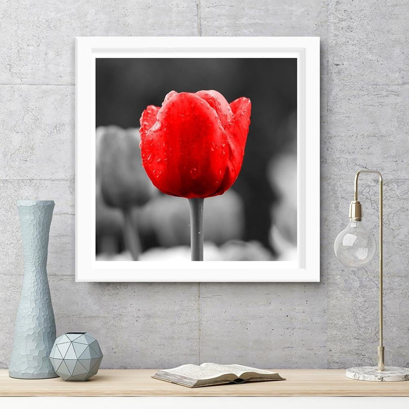 Glezna baltā rāmī - Tulip In Red  Home Trends DECO