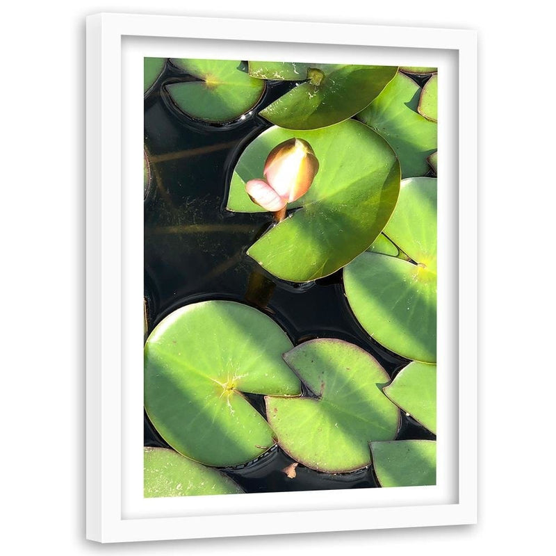 Glezna baltā rāmī - Water Lily Bud  Home Trends DECO