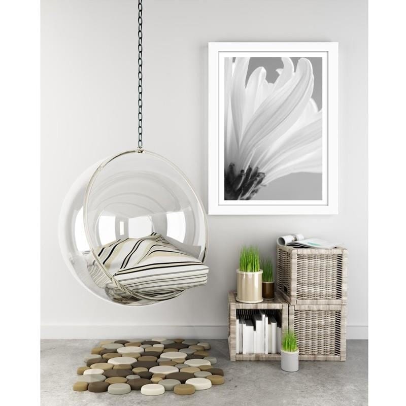 Glezna baltā rāmī - White chrysanthemums  Home Trends DECO