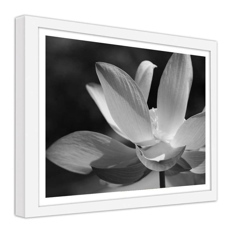 Glezna baltā rāmī - White lilies  Home Trends DECO