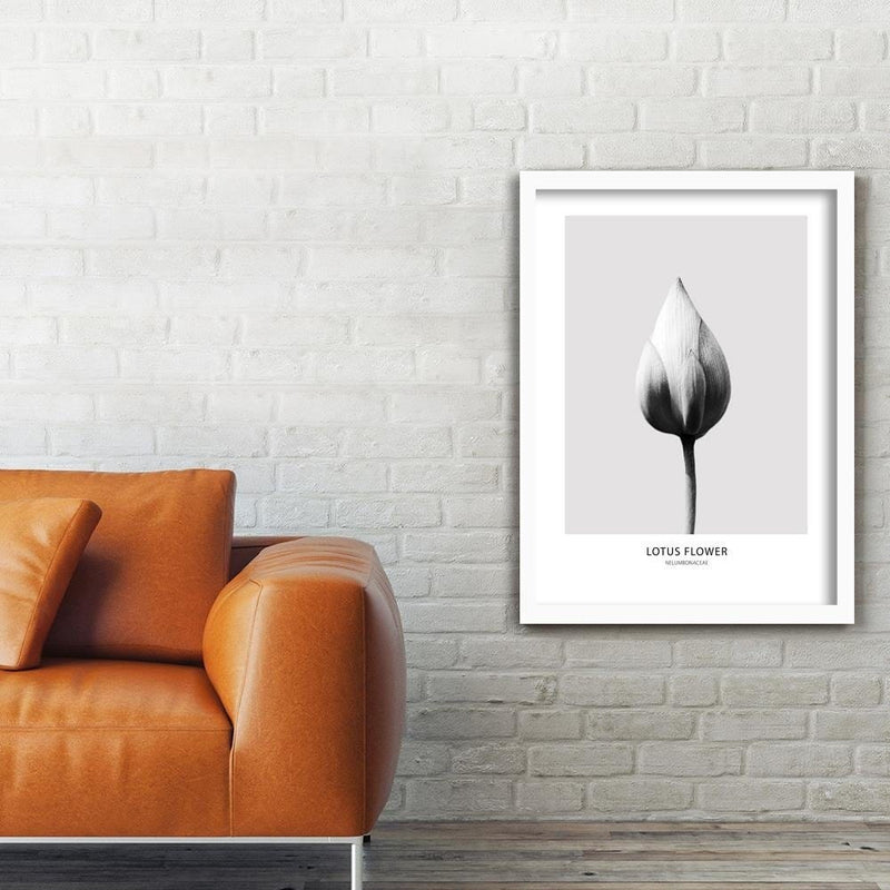 Glezna baltā rāmī - White Lotus Bud  Home Trends DECO