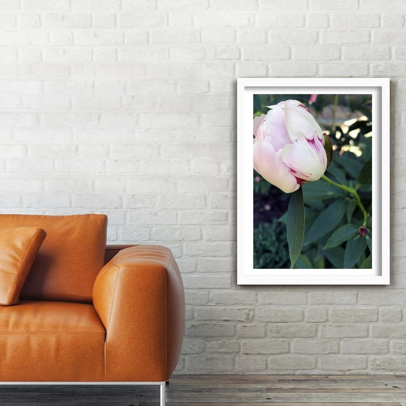 Glezna baltā rāmī - White Peony  Home Trends DECO