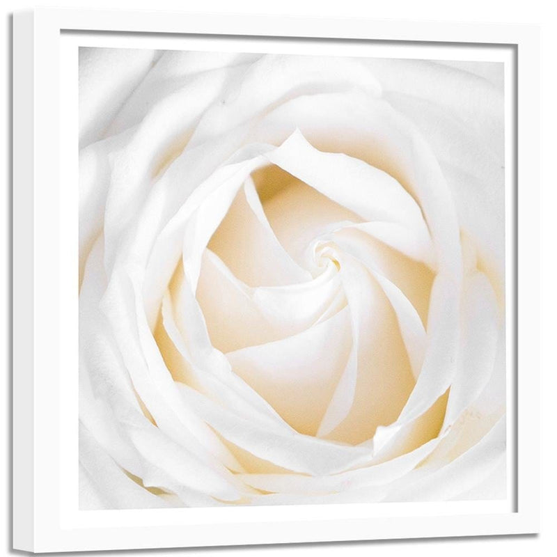 Glezna baltā rāmī - White Rose 2  Home Trends DECO