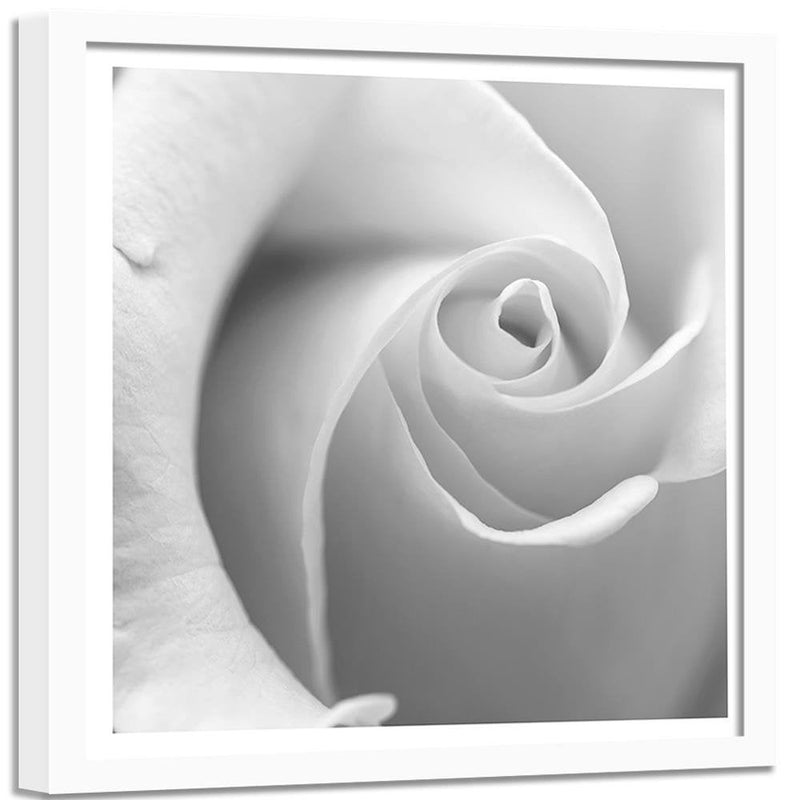 Glezna baltā rāmī - White Rose 3  Home Trends DECO