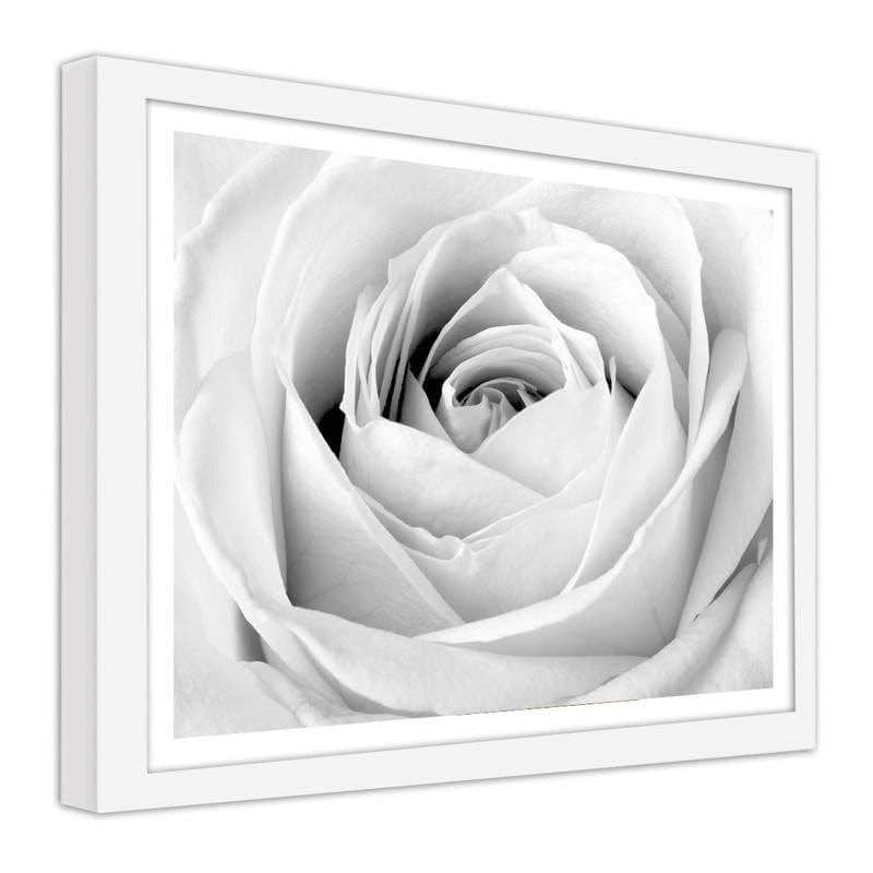 Glezna baltā rāmī - White rose  Home Trends DECO