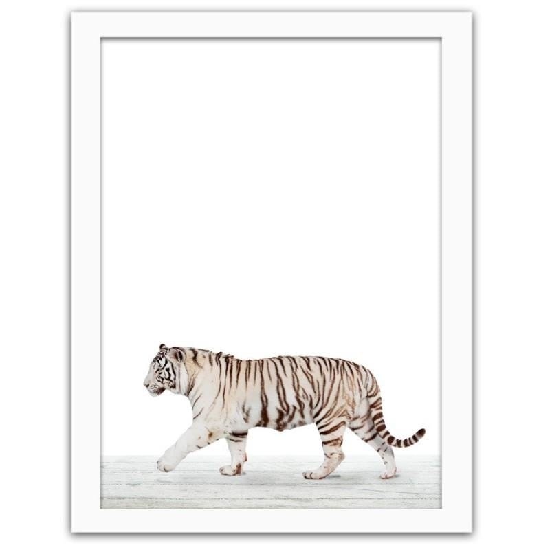 Glezna baltā rāmī - White tiger  Home Trends DECO