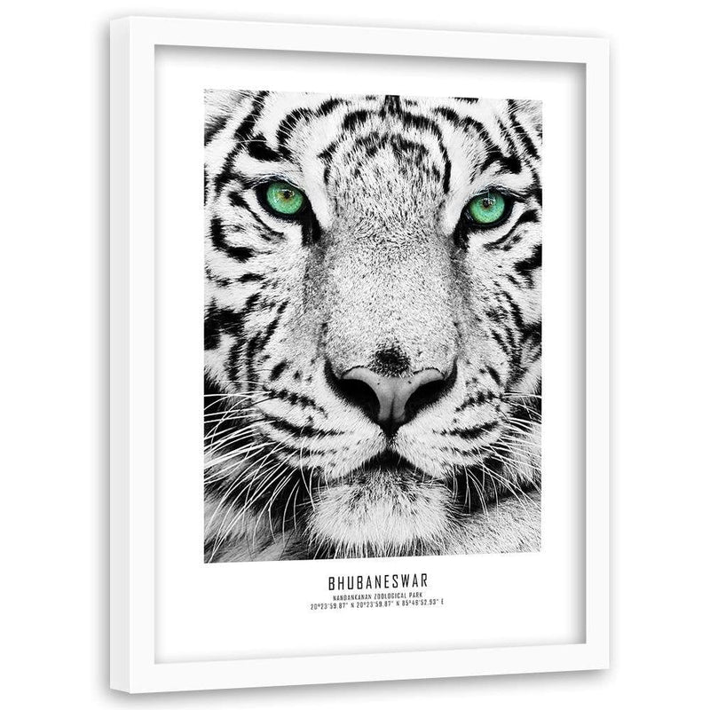 Glezna baltā rāmī - White Tiger  Home Trends DECO