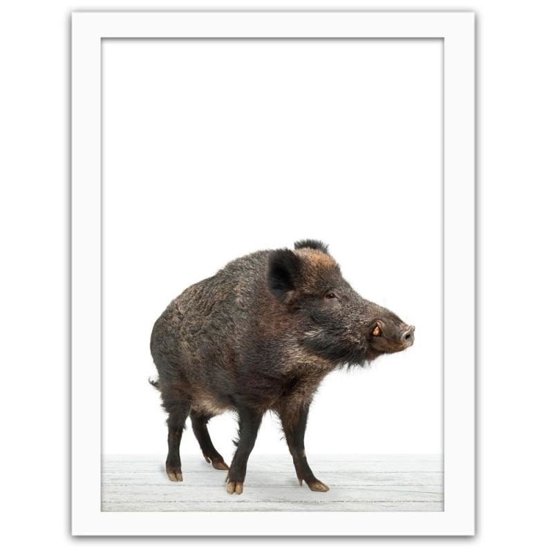 Glezna baltā rāmī - Wild boar  Home Trends DECO