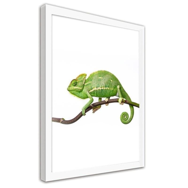 Glezna baltā rāmī - Yemen chameleon  Home Trends DECO