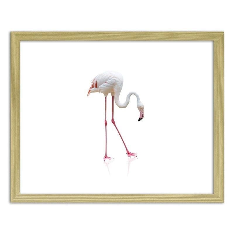 Glezna bēšā rāmī - Lonely flamingo  Home Trends DECO