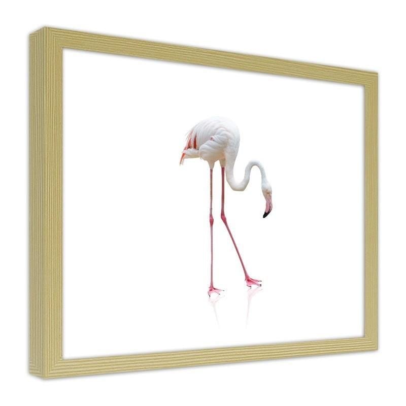 Glezna bēšā rāmī - Lonely flamingo  Home Trends DECO