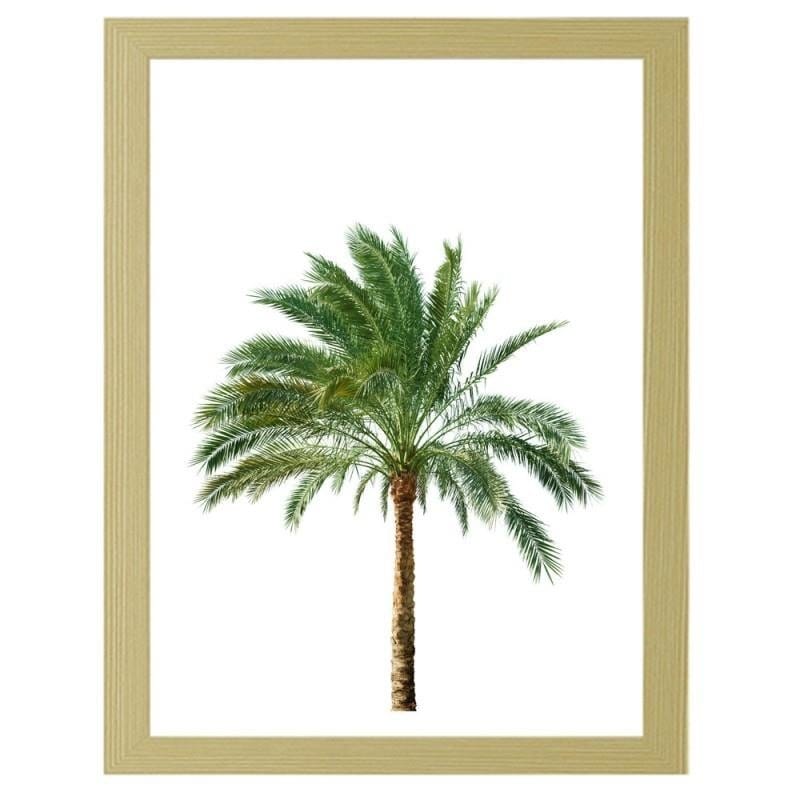 Glezna bēšā rāmī - Palm on white background  Home Trends DECO