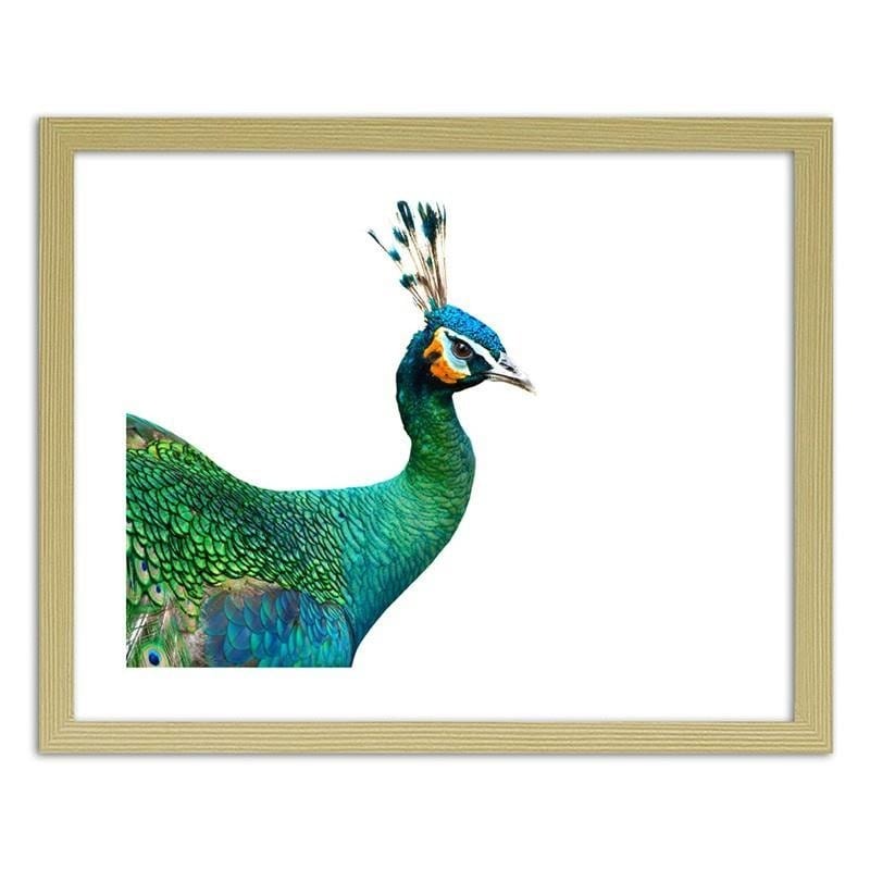 Glezna bēšā rāmī - Peacock head  Home Trends DECO