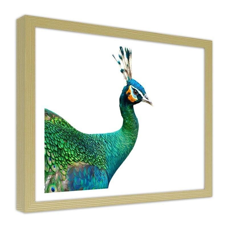 Glezna bēšā rāmī - Peacock head  Home Trends DECO