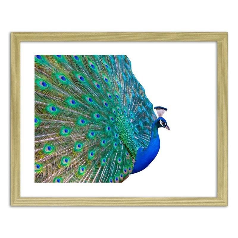 Glezna bēšā rāmī - Peacock with a tail spread out  Home Trends DECO