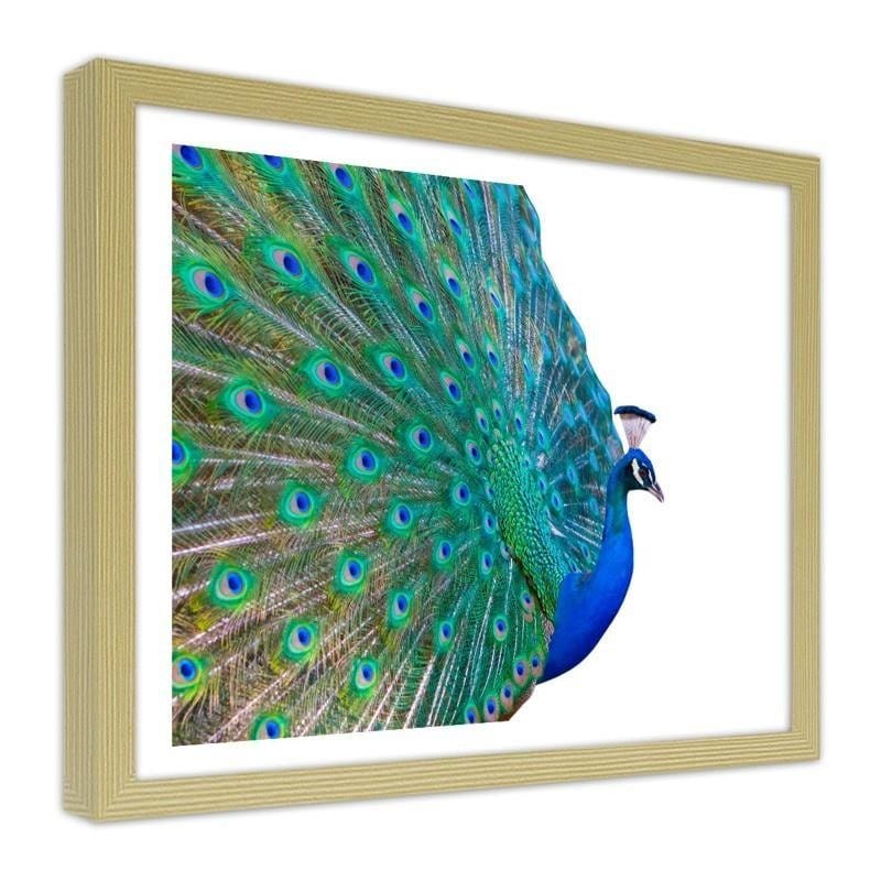 Glezna bēšā rāmī - Peacock with a tail spread out  Home Trends DECO