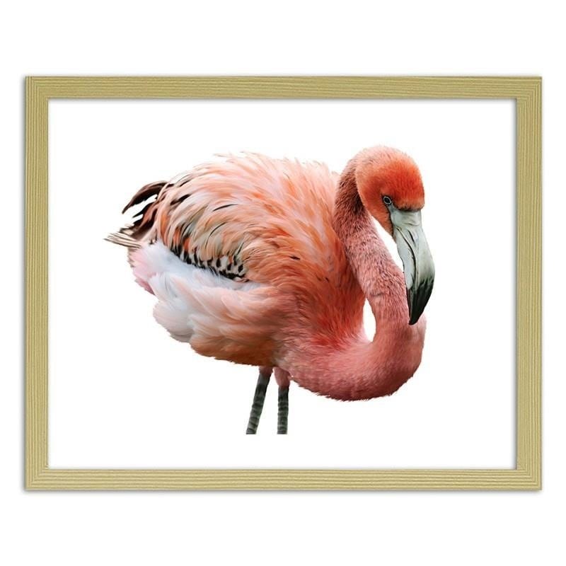 Glezna bēšā rāmī - Pink flamingo  Home Trends DECO