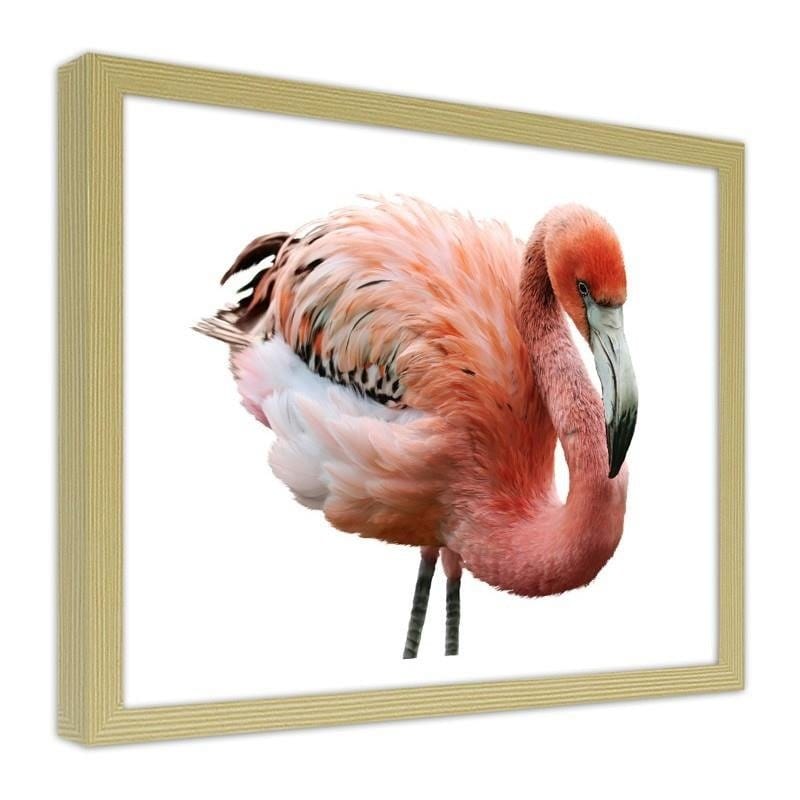 Glezna bēšā rāmī - Pink flamingo  Home Trends DECO