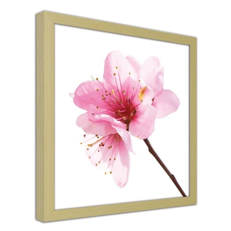 Glezna bēšā rāmī - Pink flower 3  Home Trends DECO