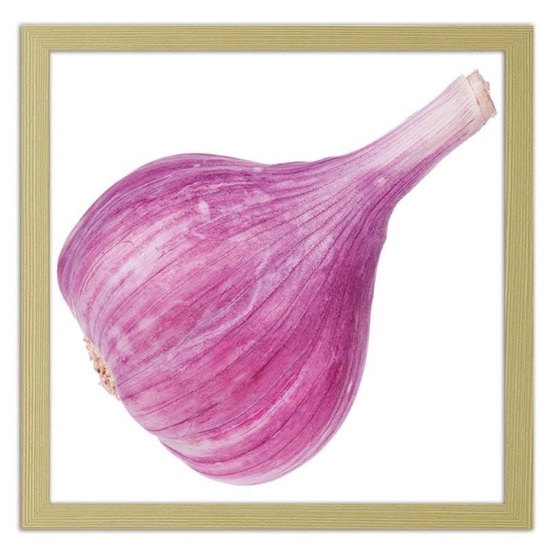 Glezna bēšā rāmī - Pink garlic  Home Trends DECO