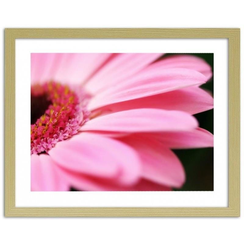 Glezna bēšā rāmī - Pink gerbera  Home Trends DECO