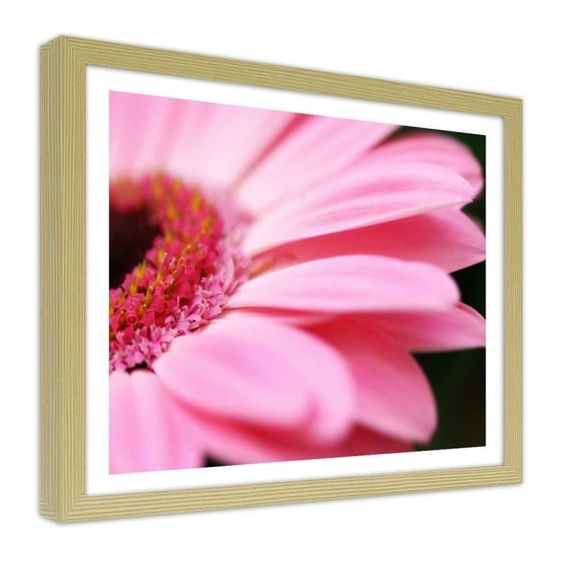 Glezna bēšā rāmī - Pink gerbera  Home Trends DECO