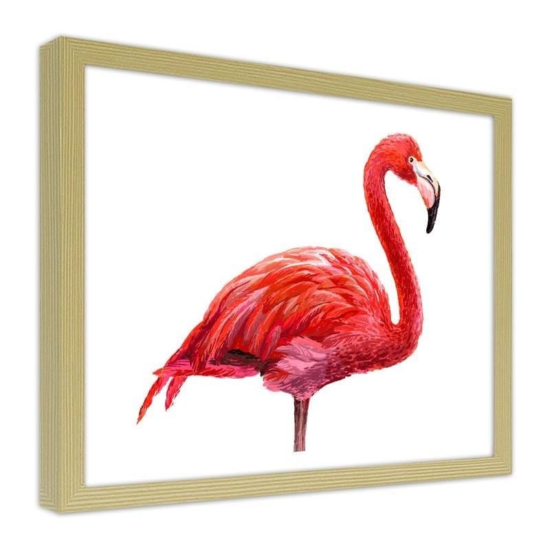 Glezna bēšā rāmī - Realistic flamingo illustration  Home Trends DECO