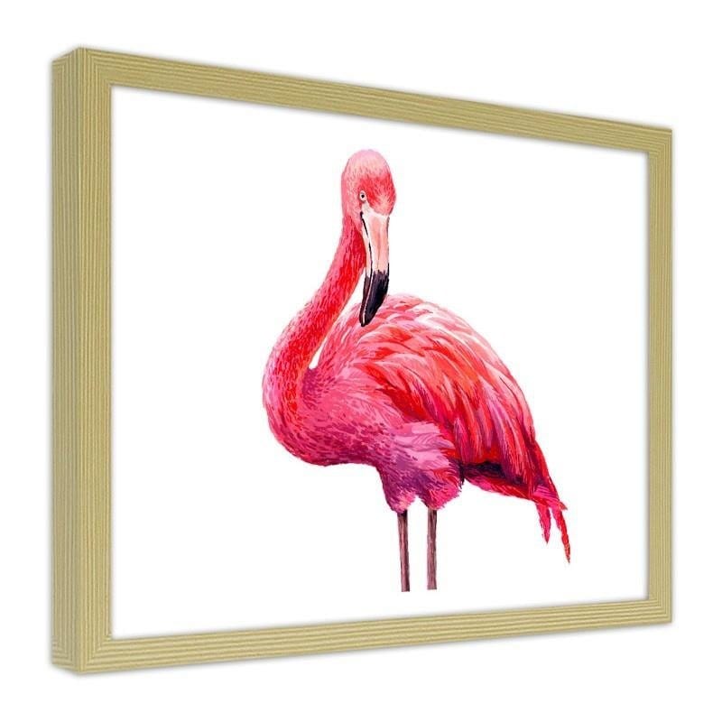 Glezna bēšā rāmī - Realistic illustration of a pink flamingo  Home Trends DECO